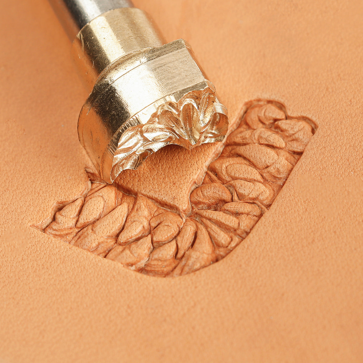 Teeth Brass Stamp Set | DIY Leathercraft Tools - ELT039